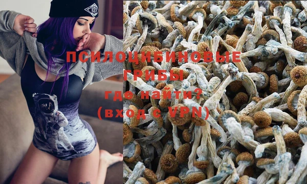 Альфа ПВП Чекалин