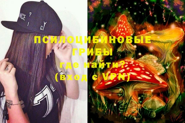 Альфа ПВП Чекалин